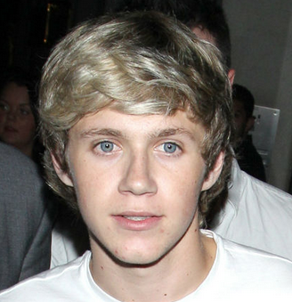 williamtops91:  theniallhoranwishlist:  causeofdeath-bbc:  theniallhoranwishlist-deactivat:
