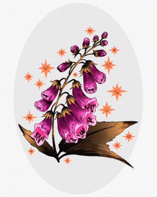 prinsomnia:✸ foxgloves n frends ✸ko-fi.com/prinsomnicafi’m ready for a new batch of plant requests! 