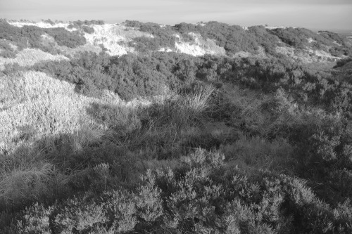 Knowl Hill, Ashworth Moor and Rooley Moor Images, referenced sites of archaeological excavations in 