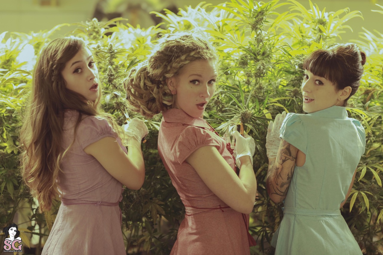 past-her-eyes:   Damsel Suicide + Dimples Suicide + Brewin Suicide www.suicidegirls.com/girls/damsel