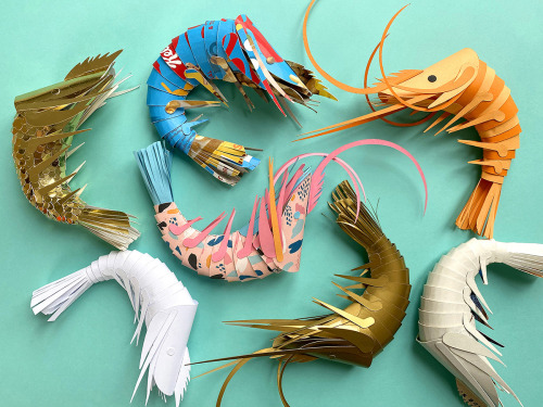 itscolossal:Make Your Own Paper Prawn Using This Pattern Designed by Artist Lisa Lloyd