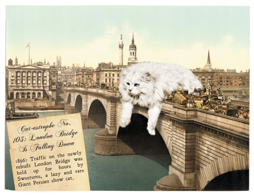 Behold! A giant cat disrupting traffic on London Bridge! This new greeting card is part of our Cat-A