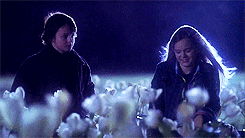 xdanascully:  Fringe meme ± 1 season: Season 3 [1/1] 