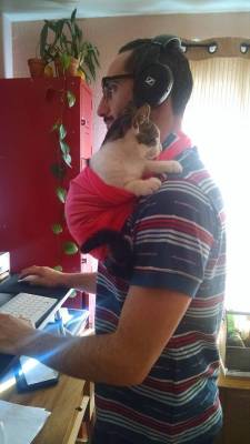 dawwwwfactory:  My boyfriend Cliff works from home, but our kitten Simon insists on being held multiple times throughout the day. This was impacting Cliff’s ability to get work done so we had to fashion a kitten sling so that Simon could get his snuggles