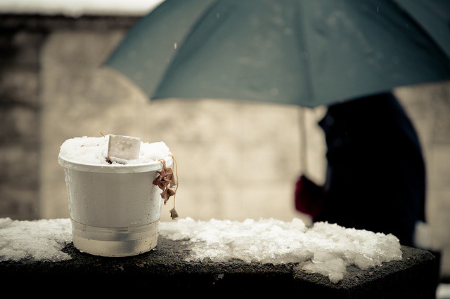 valscrapbook:  Farewell to the Winter by Mamoru Yasuda on Flickr.