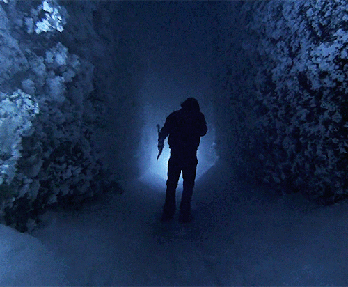 The Shiningdir. Stanley Kubrick | 1980