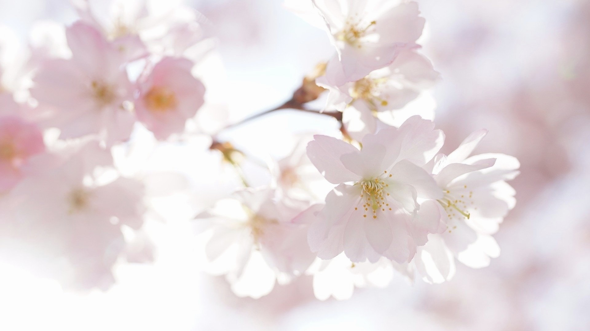 ボク 運命の人です Explore Tumblr Posts And Blogs Tumgir ボク 運命の人です Explore Tumblr Posts And Blogs Tumgir