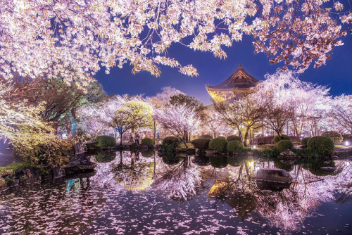 inkxlenses:Tō-ji during a bright spring evening | © Manabe Hisanori