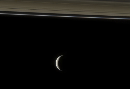 wonders-of-the-cosmos: Saturn Rings and Moons: From left, the moons are Janus, Pandora, Enceladus, M