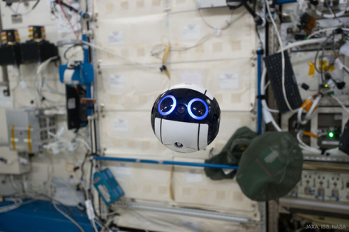 ohmygodwaytoolong:This floating helper droid is the newest International Space Station crew member (