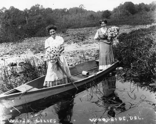 Women gathering water lilies (1910)(via Delaware Public Archives)