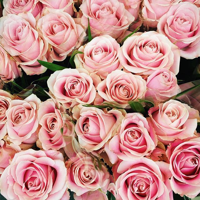 pinkinocencia:  if you’re reading this i hope something good happens to you today 💘