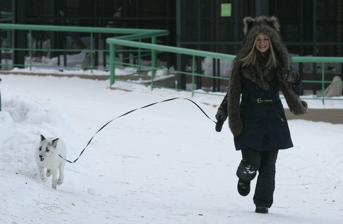 cute-animals-only:  Fox named “Весна” - Spring in Russian ;-) 