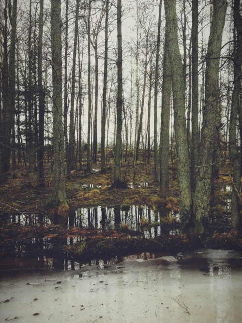 brutalgeneration:  Camera Roll-1437 (by Johan Lindqvist Fotografi)