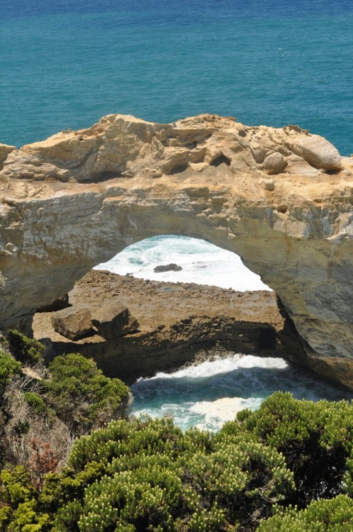 Australien Part 2 - Great Ocean Road Ich sitze gerade in Flugzeug nach Kuala Lumpur und habe ein paa