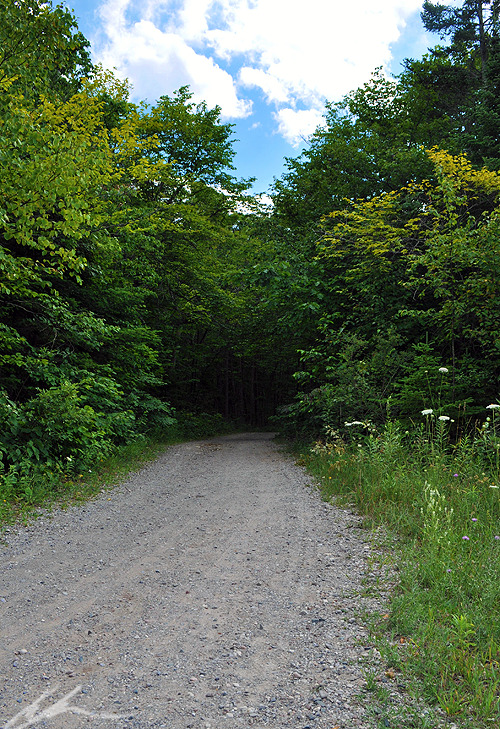 Favorite trails on Mackinac Island: Scott’s Road