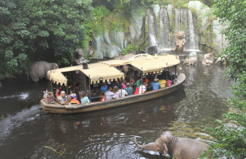 Did You Know? If the entire Jungle Cruise river was emptied, it would take 14 to 24 hours to refill 