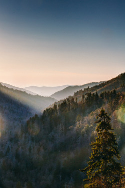 chelsearoseg:  vhord:  h4ilstorm:   A Valley (by MightyBoyBrian)   strictly nature  xx