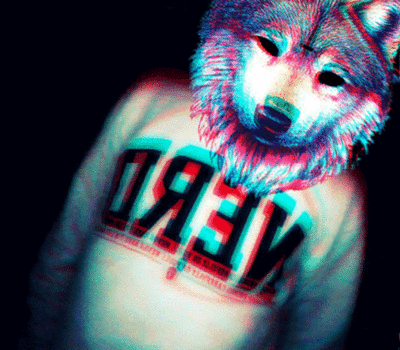 getoffmyblogdad:  wolf 