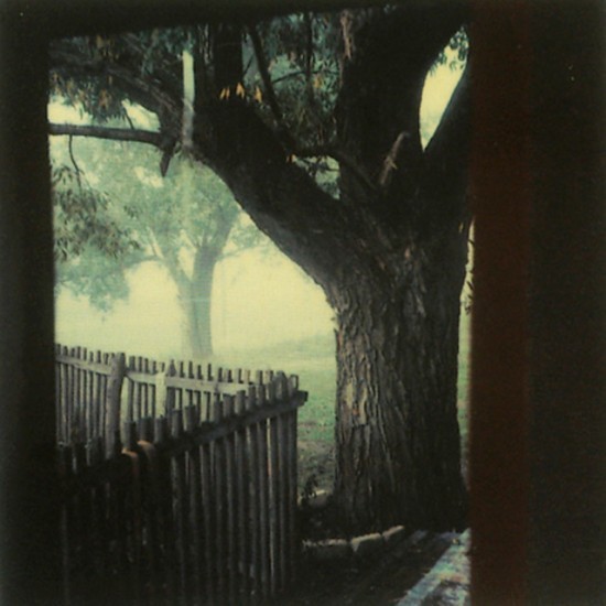nobrashfestivity:  Polaroids by Andrei Tarkovsky 