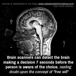 unbelievable-facts:  Brain scanners can detect