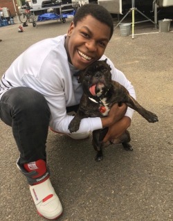 actorsandcanines:  John Boyega Who’s ready for Episode 8?!