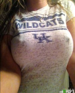 Fuck ya go wildcats