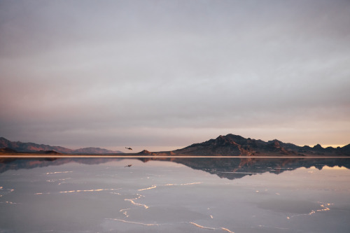 Chopper on the Salt Flats :: Salt Flats Instameet, March 2015Photography by Korey Klein