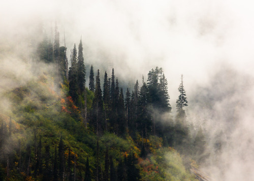 itakephotosofallthethings: Go Softly Snoqualmie Pass, WA