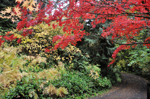 Before&hellip;..                           &hellip;&hellip;and after.What the trees have lost now ad