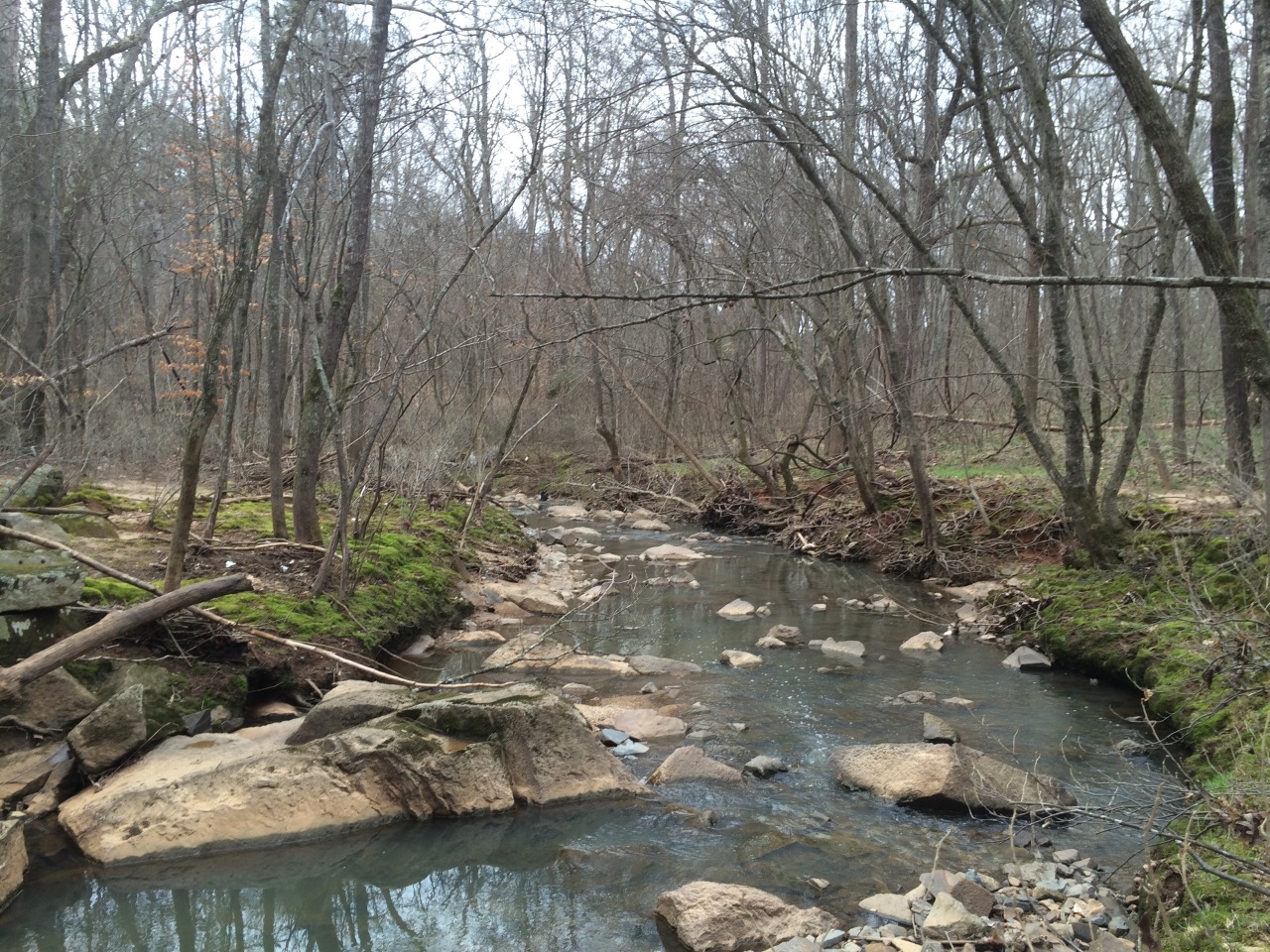princess-maggott:I was really digging this stream yesterday when I went urban exploring/bone