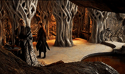 elvenking:  A little party never killed nobody! 