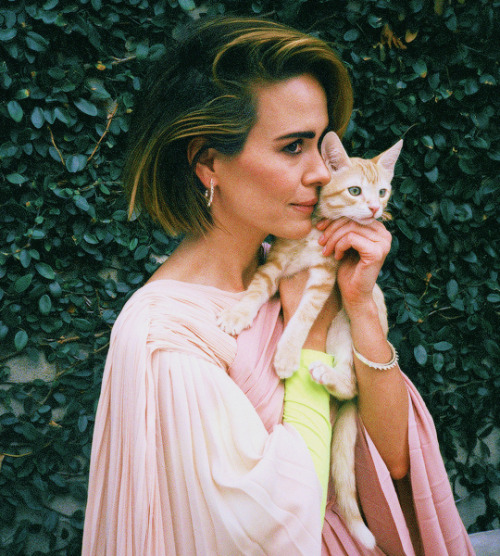 breathtakingqueens:Sarah Paulson photographed by Gia Coppola for FLAUNT (November 2018) [ x ]