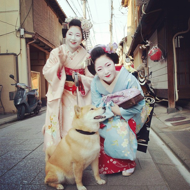 geisha-licious:  maiko Toshimomo and Toshikana with Maru the Dog by MARUSTAGRAM on
