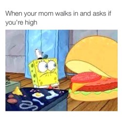 supahighposts:  This Is What Its Like Being High - Click HERE to find out