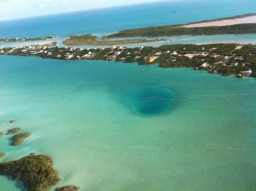 atlasobscura:
“CHALK SOUND BLUE HOLE -PROVIDENCIALES AND WEST CAICOS, TURKS AND CAICOS ISLANDS
A 220-foot deep watery drop-off, filled with marine life Atlas Obscura has even more amazing curiosities from the seas
”