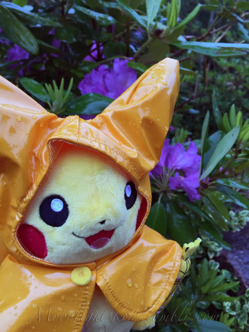 moonlightpkmn:  Pikachu needed some drying off after our adventures today! (This is why I got two xD