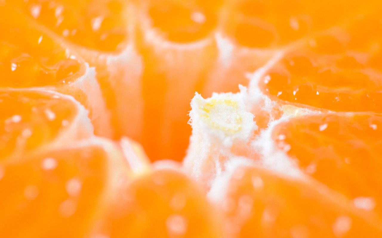 baetology:  orange moods // @slightlycoolemma 