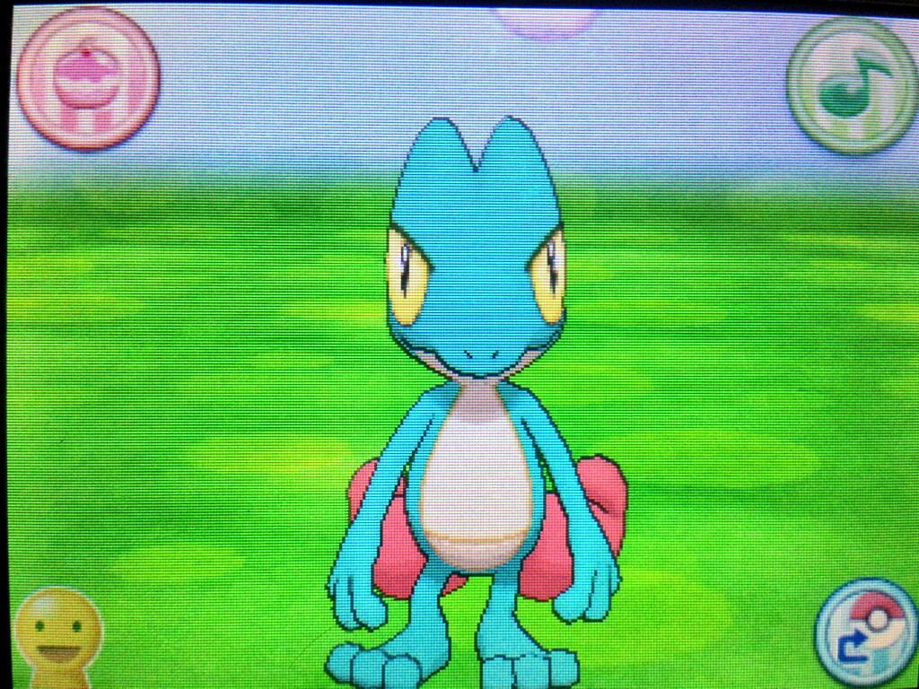 ultrafagatron:  SOUND THE TRUMPETS! #HOENCONFIRMED GIVE AWAY! Treecko: Level 1  -