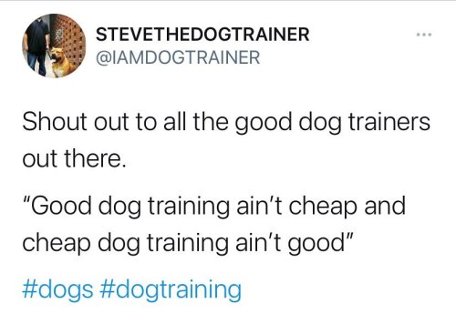 As in any industry, there is always competition and its no difference in the dog training community.