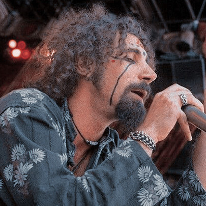 Idc but this Serj style for spiders is my favorite look on him :  r/systemofadown