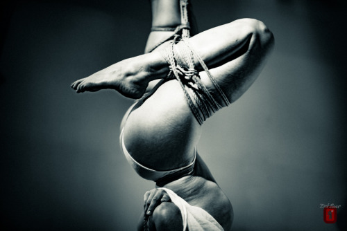 amaury-grisel-shibari: Performing with Melle F. at La place des cordes Paris Shibari by Amaury Grise