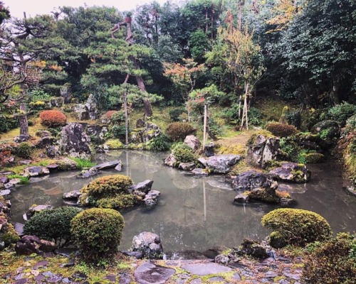 ＼おにわさん更新情報／ ‪[ 滋賀県長浜市 ] 赤田氏庭園（赤田草野谷館） Akada-shi House&rsquo;s Garden, Nagahama, Shiga の写真・記事を更新しました。