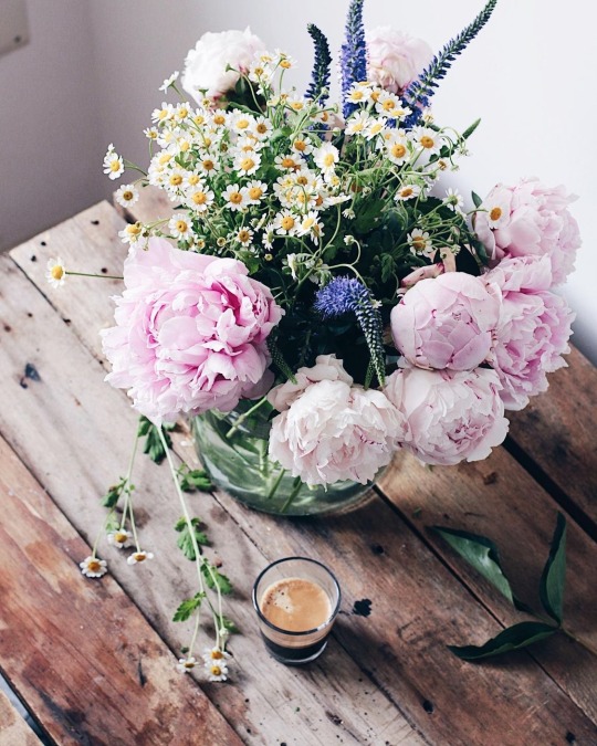 fleur-aesthetic:instagram | fran.karolj 