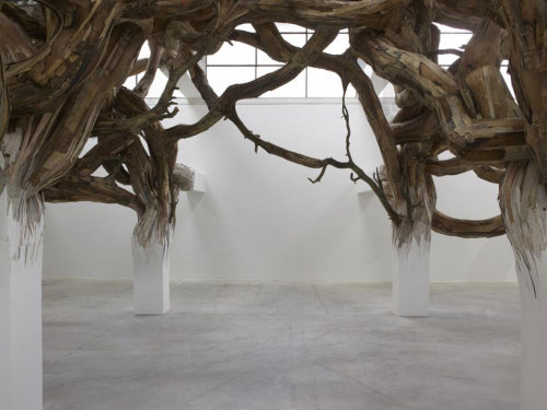 cjwho:  henrique oliveira | baitogogo at palais de tokyo, paris a complex network of organic material invades the architecture at the palais de tokyo in paris, in brazilian artist henrique oliveira’s ‘baitogogo’. the installation is a matrix of