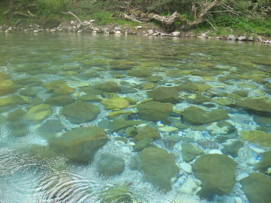 気