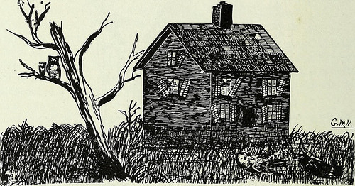 historicalbookimages:page 267 of “Wisconsin medical recorder” (1909)