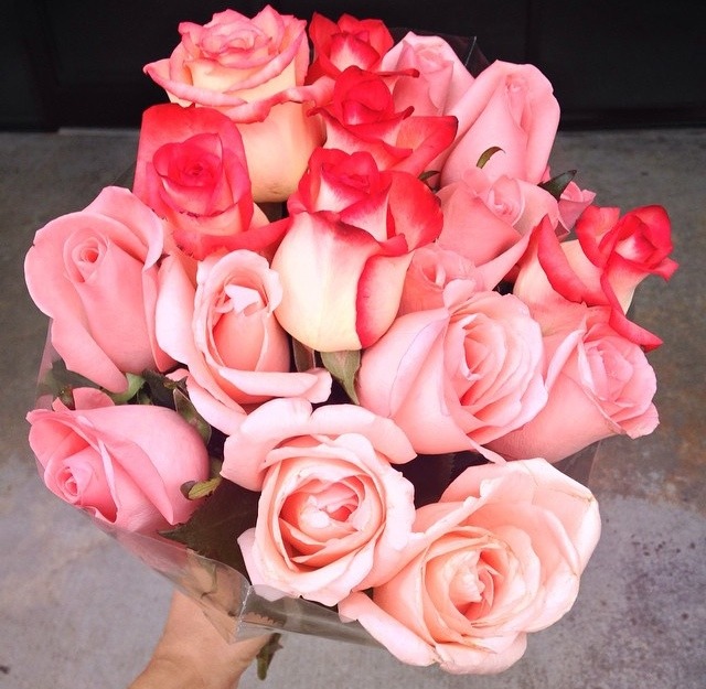 Pink roses, your favorite. These would&rsquo;ve been all for you&hellip;