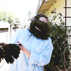 youholyfool:  me trying to pet a chicken . 