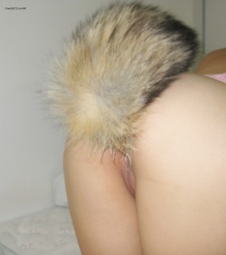 I was looking at our foxtail and creampie picture sets from a few weeks ago (here and here) and got really turned on.  I put in my fox tail and right as Daddy came home, I was on all fours by the door and begged Master to make me his Breeding Pet. 